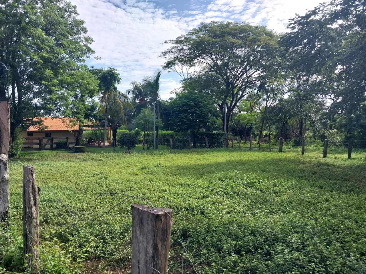 C-180: Idyllic Sardinal Home with 2730 sqm land for sale - Close to the beaches - Gallery image 19