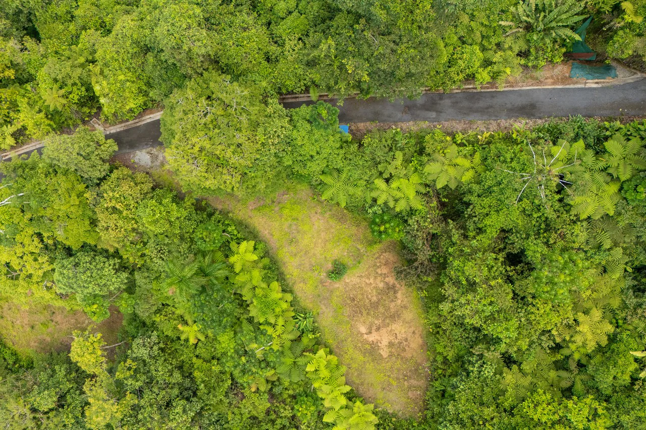 Near the Coast Home Construction Site For Sale in Ciudad Cortés - Gallery image 16