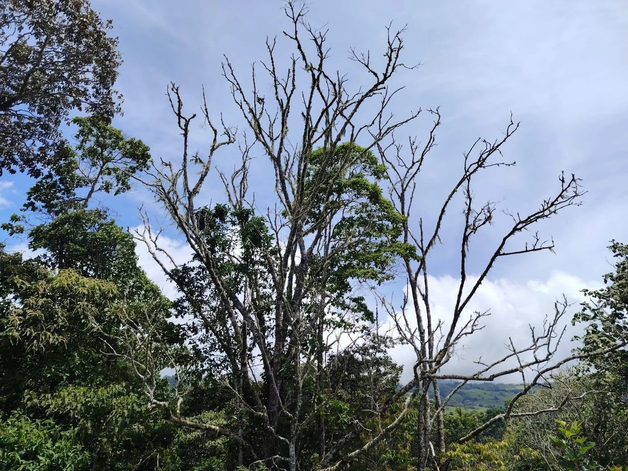 Lote en venta-ubicado en San Juan Bosco, Perez Zeledon: Mountain Home Construction Site For Sale in Daniel Flores - Gallery image 9
