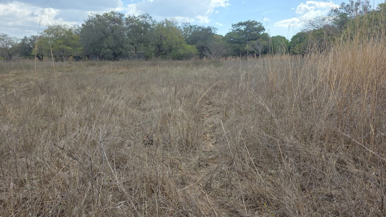 Property for Sale Near Liberia Airport with High Exposure and 60 Meters Frontage on Route 21, with Public Utilities - Gallery image 5