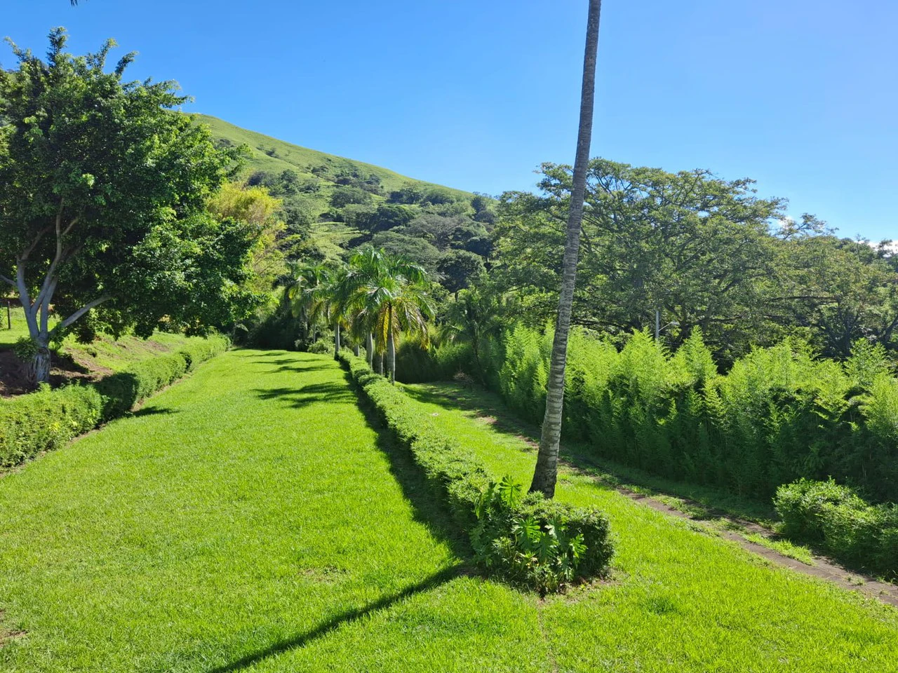 Historic Hilltop Sanctuary: ´Jurassic Park-like´ Development property! - Gallery image 14