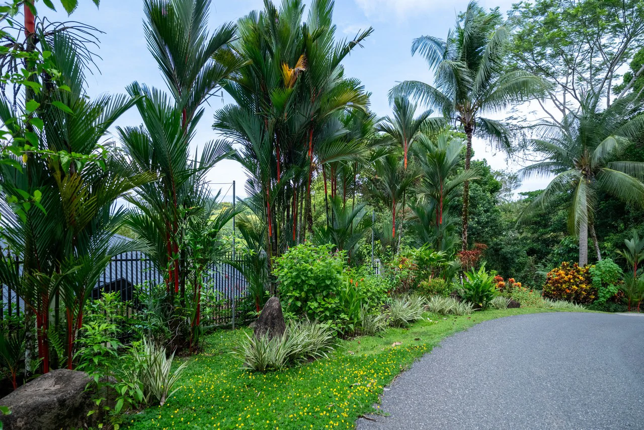 6.45 ACRES – 3 Bedroom Luxury Ocean View Home Surrounded By Vibrant Rainforest And Wildlife!!! - photo 5