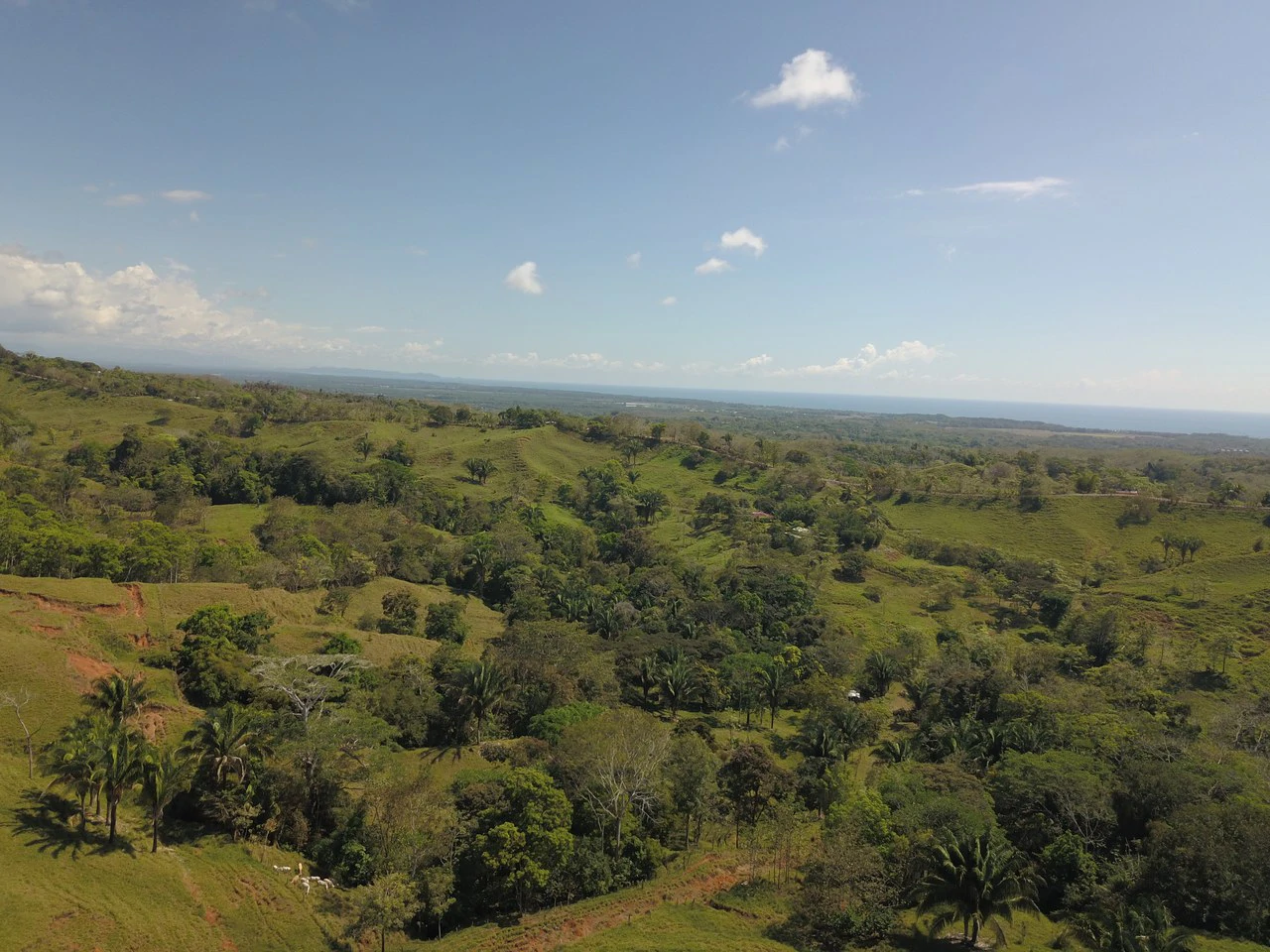 Finca Guapinol de Parrita: Near the Coast, Mountain and Countryside Agricultural Land For Sale in Parrita - Gallery image 4