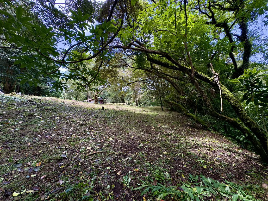 Lot for sale in San Rafael de Heredia - Gallery image 8