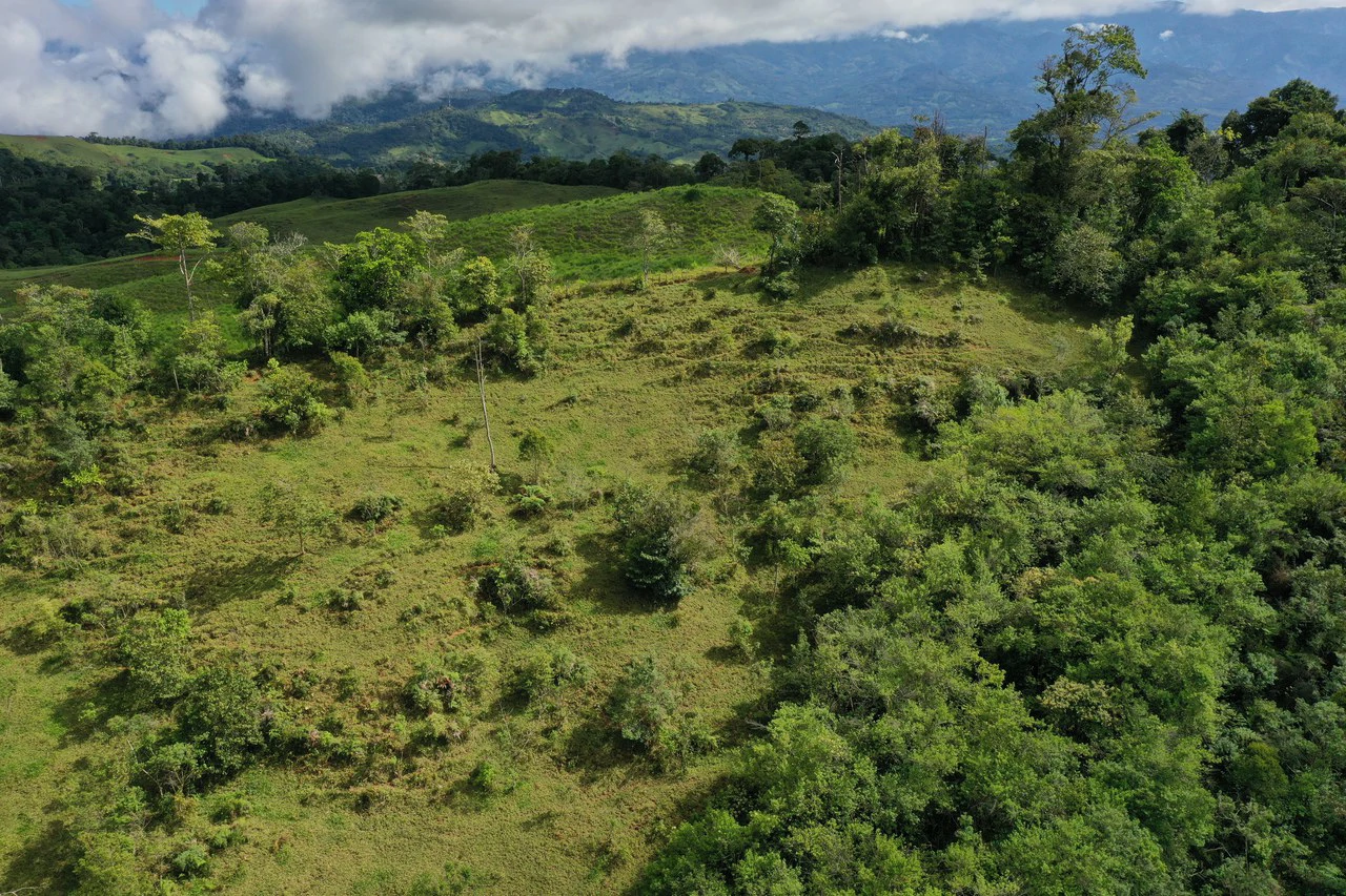 47 Acre Off Grid Ranch with Ocean & Mountain Views San Lorenzo Perez Zeledón - Gallery image 19