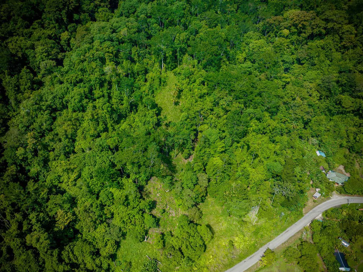 Rincon Mountain Land Gulf View | A Breathtaking Landscapes of Rincon - Gallery image 11