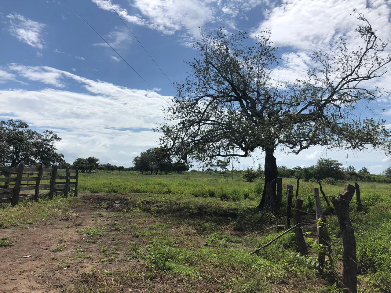 Great investment opportunity, property adjacent to Liberia Airport - Gallery image 17