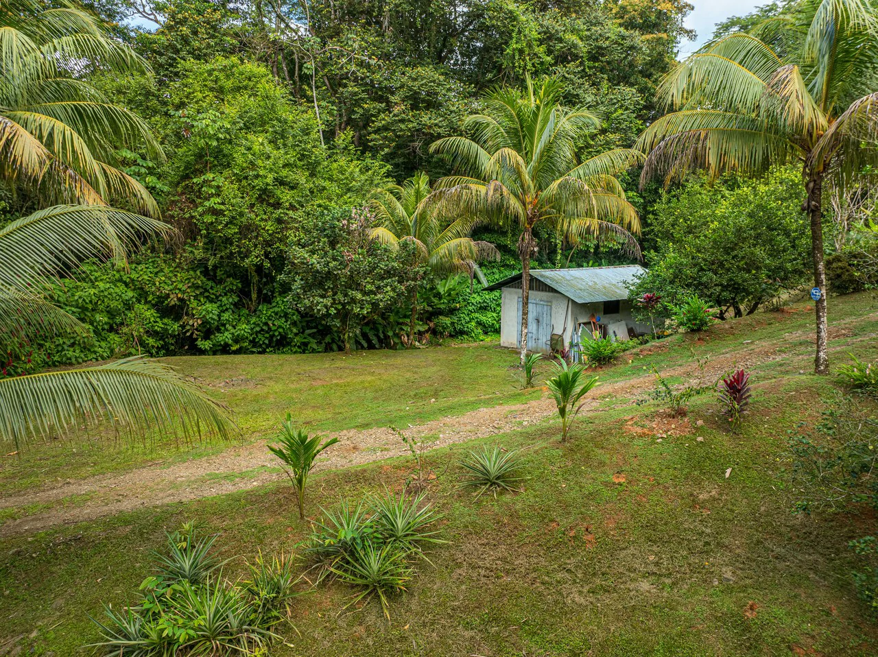 Tropical Hideaway – 7 Acres of Secluded Riverfront with a 3-Bedroom Home: Mountain House For Sale in Bahía Ballena - Gallery image 35
