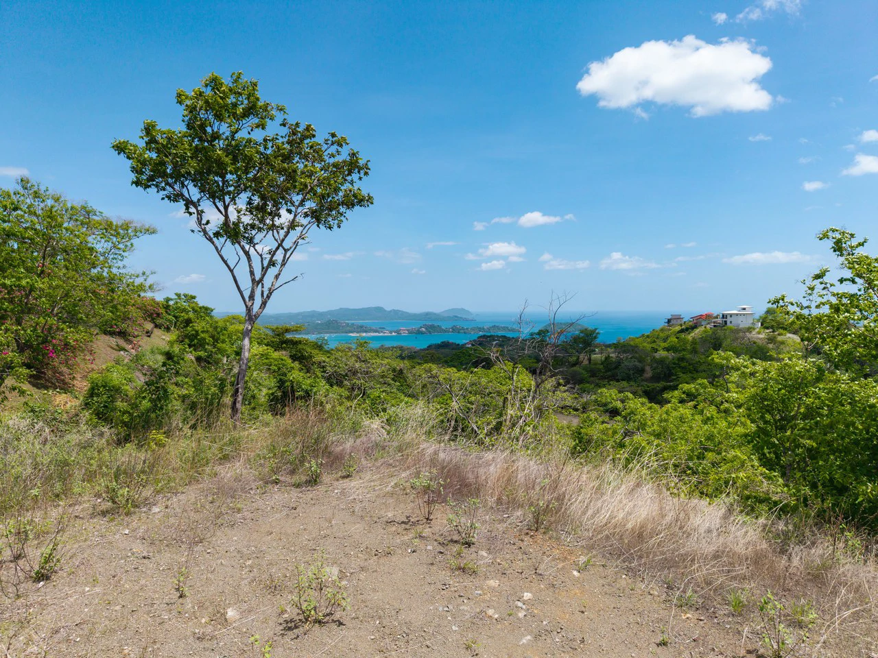 Miramar Ocean View Lot: Unmatched Views from this Spectacular Piece of Land in Pacific Heights - Gallery image 9