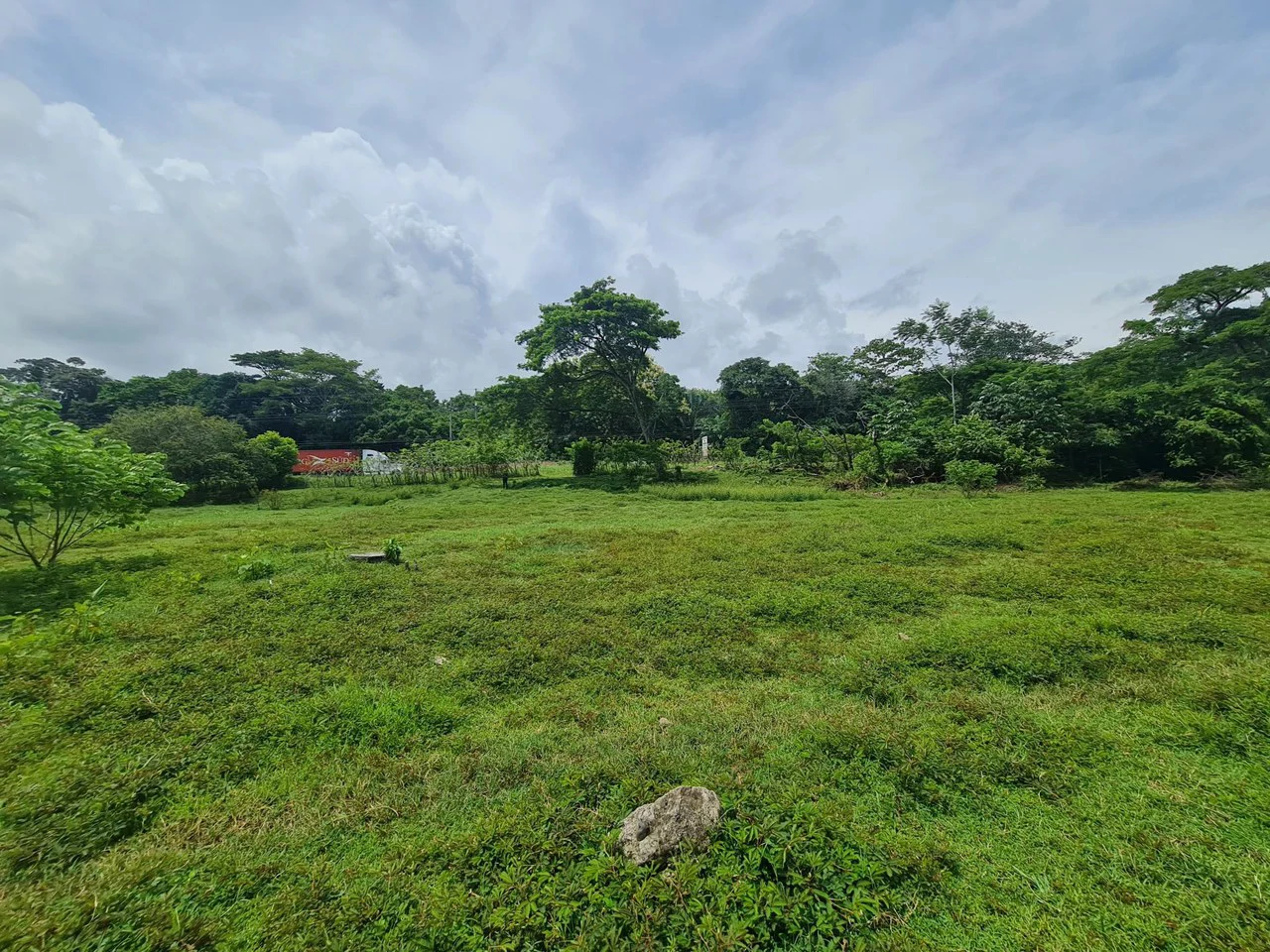 Agricultural Land For Sale in Bejuco - Gallery image 5