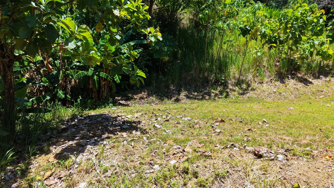 Near the Coast Home Construction Site For Sale in Ciudad Cortés - Gallery image 13