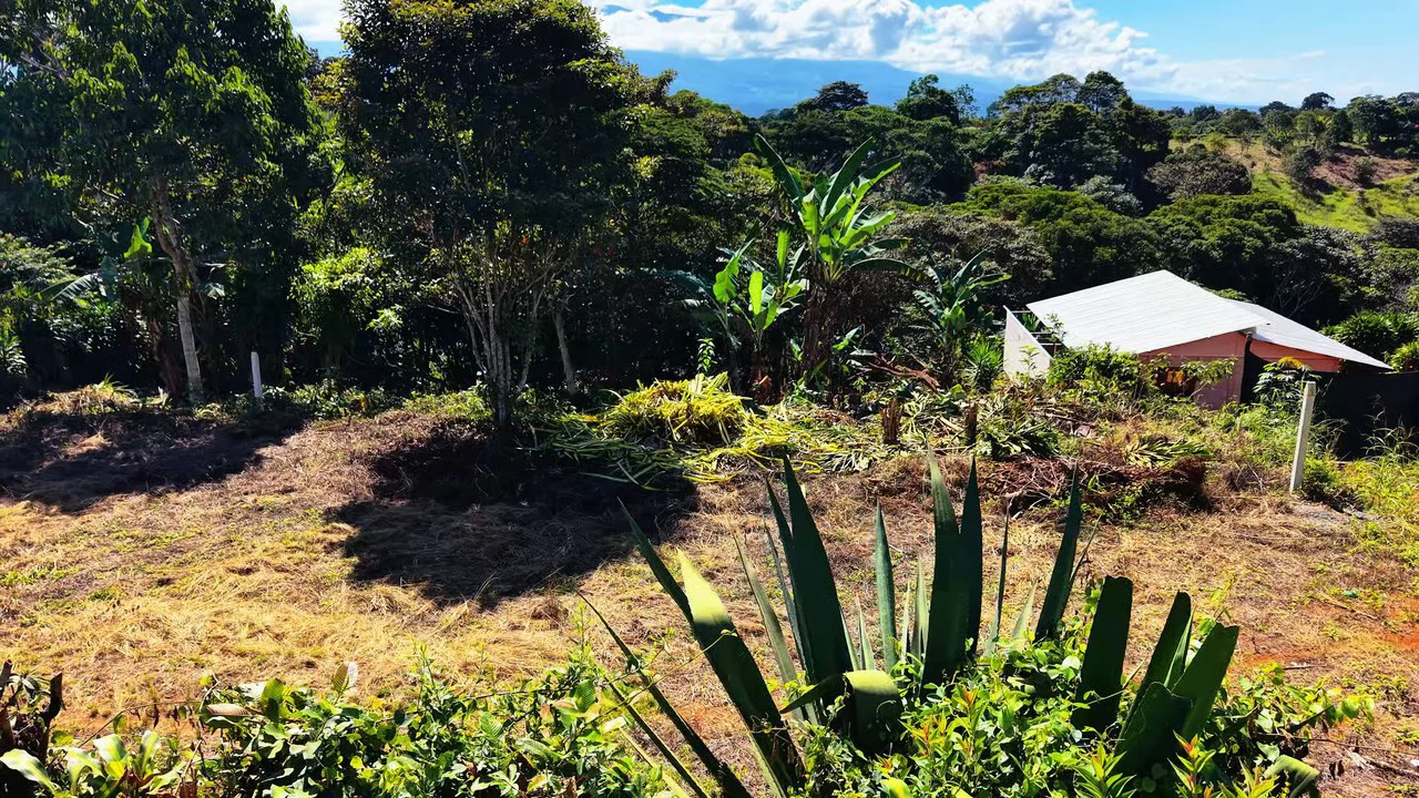 Home Construction Site For Sale in Pavones - Gallery image 6