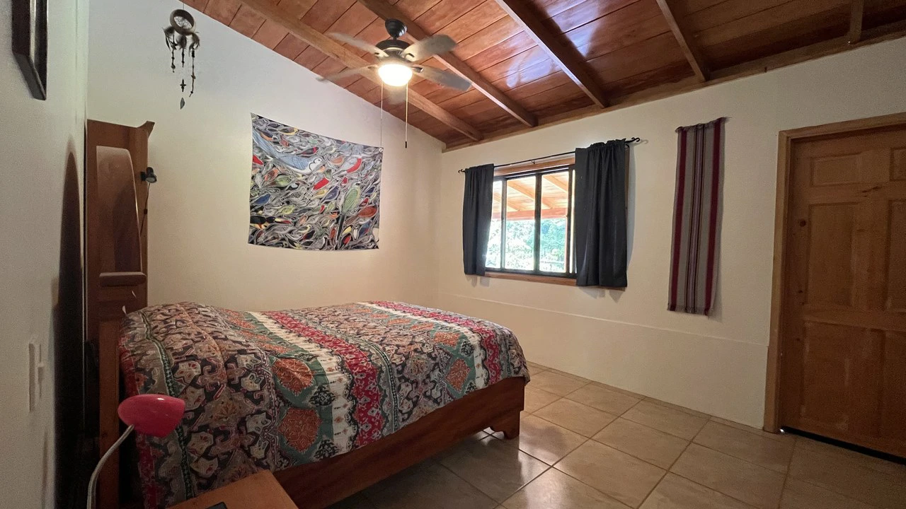 Mountain House For Sale in San Isidro del General - photo 33