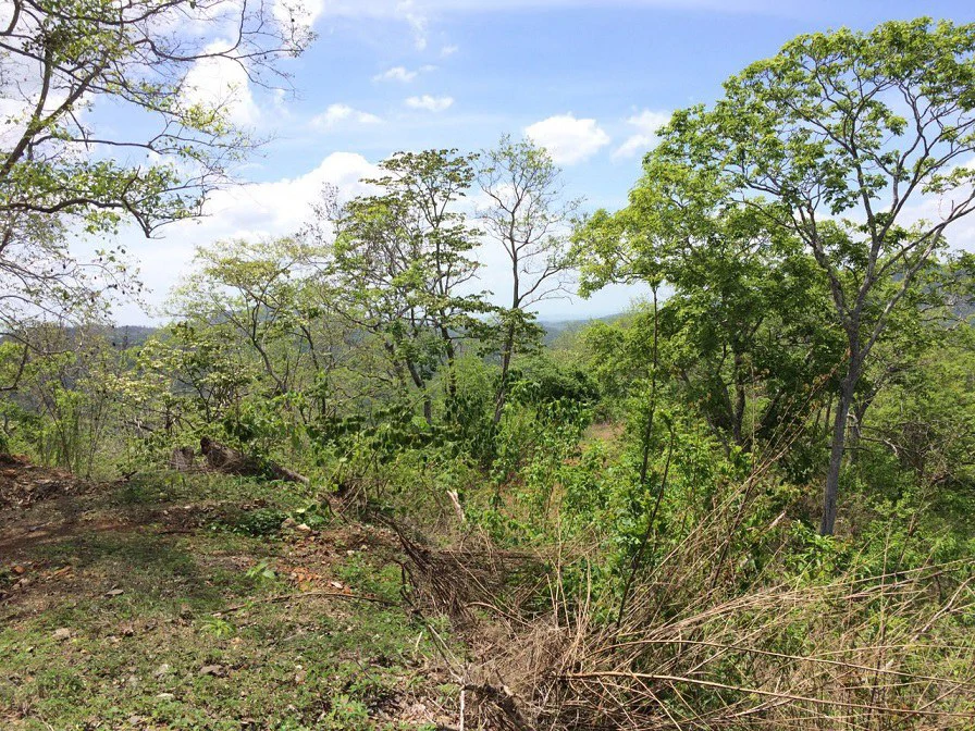 GRAN OPORTUNIDAD: GREAT OPPORTUNITY. Property of 48.3 hectares adjacent to the Hotel Riu - Gallery image 16