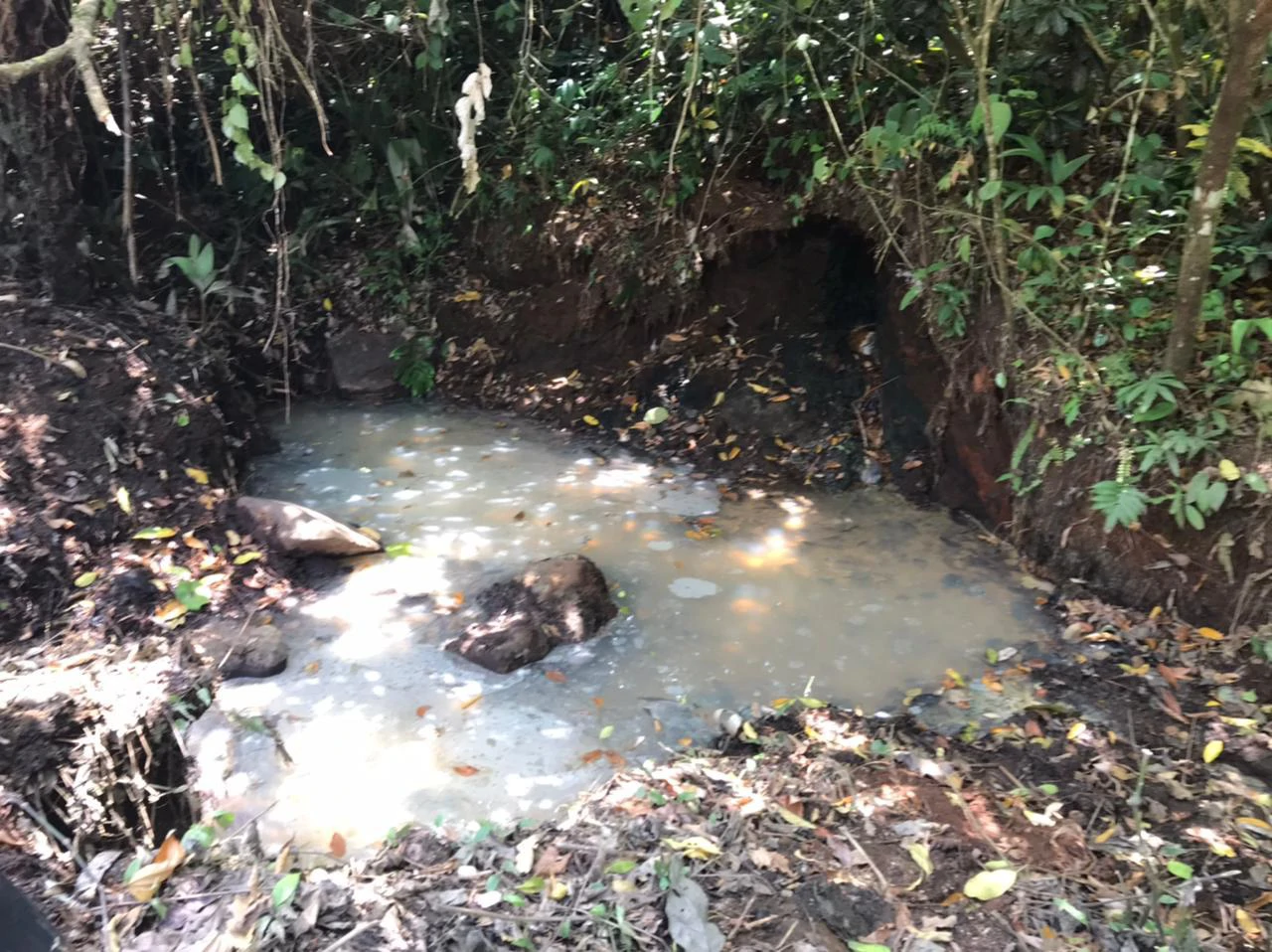 Hot Springs Property for Sale with Two Natural Hot Water Springs, Two Cold Water Creeks, and a Giant 300-Year-Old Tree - Gallery image 4