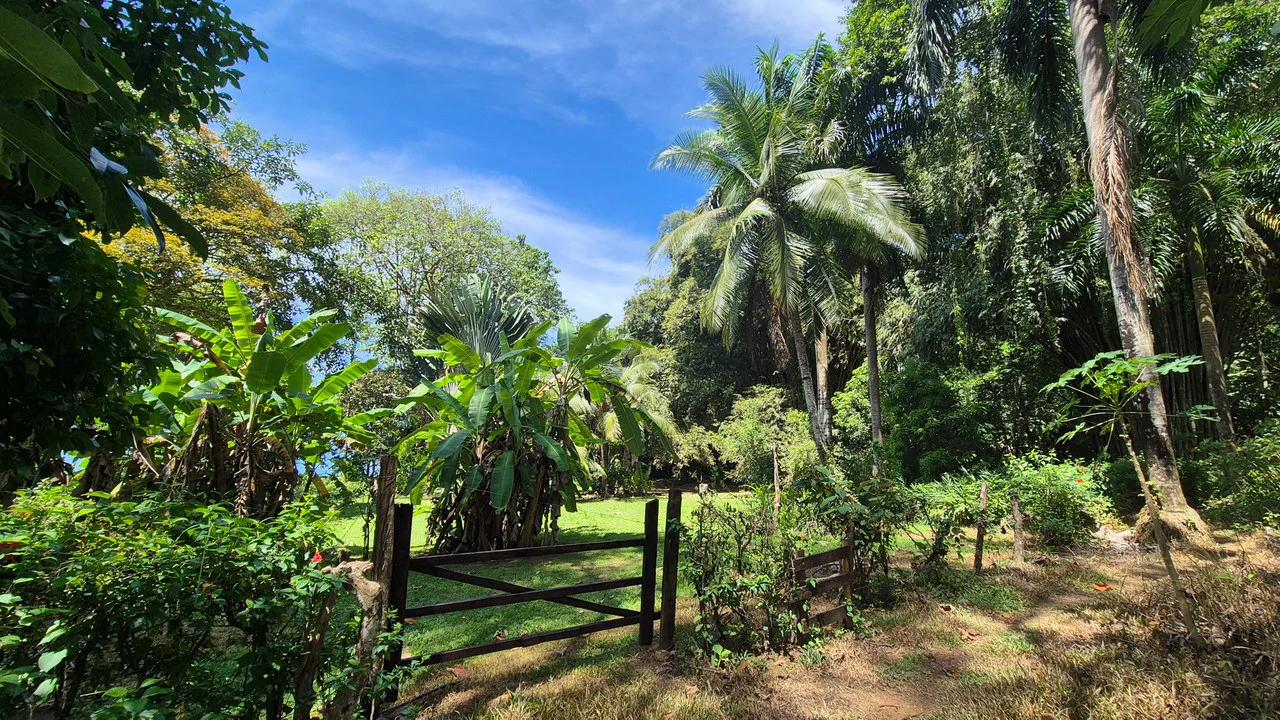 Dream Beachfront Property at Ballena Beach in Uvita, Costa Rica - Gallery image 4