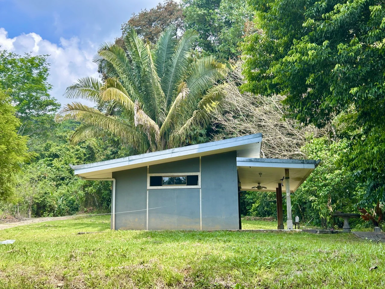 Fixer-Upper Home with an studio Office in Palmar Norte on a 7.58 Acres Property - Gallery image 5