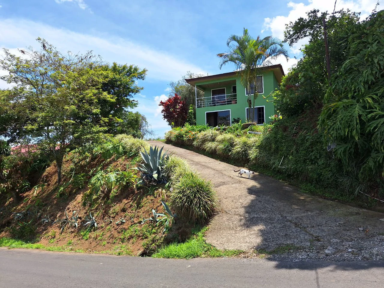 Multi family or Rental Income?. Large property with 3 homes - photo 3