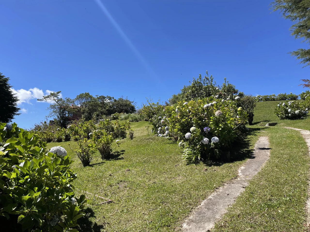 Poasito cottage: Poasito, Alajuela views cottage for sale - Gallery image 13