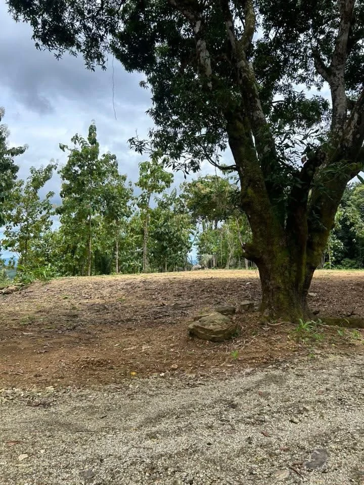 River Frontage Lot For Sale in Costa Rica Residential & Commercial Zoning - Gallery image 20