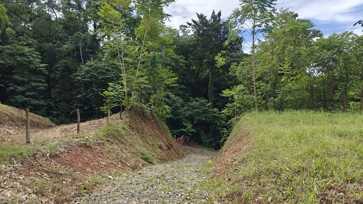 ID 345: 6,763m² Ocean View Development Land for Sale in Puerto Viejo - Gallery image 9