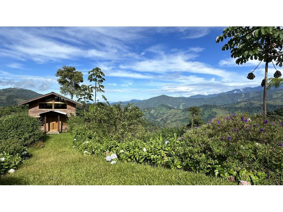 BEAUTIFUL MOUNTAIN VIEW FINCA WITH CABIN IN RIO NUEVO - Gallery image 10