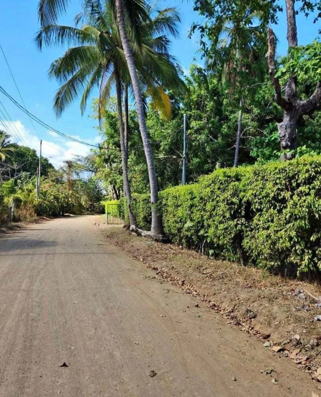 PLAYA AZUL, TÁRCOLES 7,658 m² - Gallery image 2