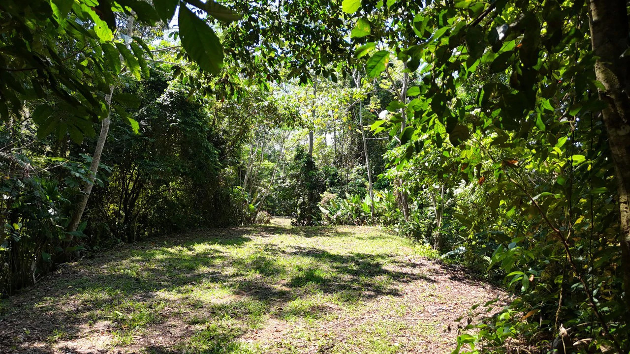Exceptional Development Opportunity 71 acre Riverfront & Ocean View in Hatillo - Gallery image 23