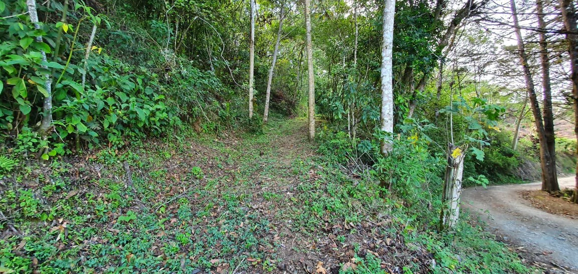 Home Construction Site For Sale in Aserrí - Gallery image 4