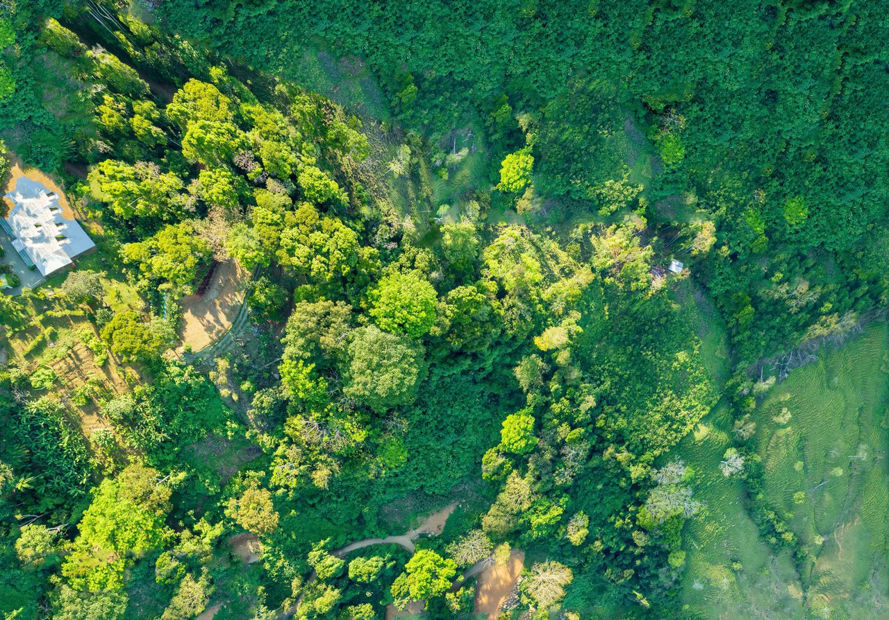 5.3 ACRES – Mountain And River View Land 20min To Dominical, Ready To Build, Legal Water, Electricity & Fiber Optics, Streams And Community Trails!!!! - Gallery image 10