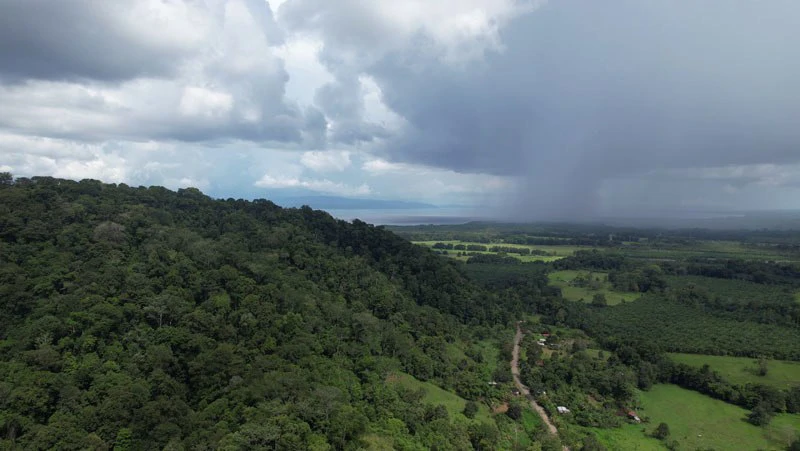Ocean View & Primary forest 55-ha Rincon de Osa - Gallery image 2