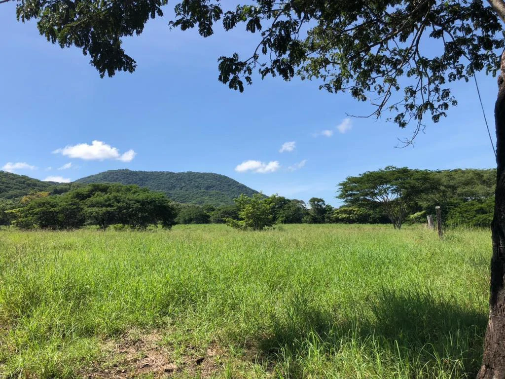 Huge dream Cattle farm for sale with 2 houses close to the Gulf of Nicoya, Guanacaste, Costa Rica - Gallery image 28