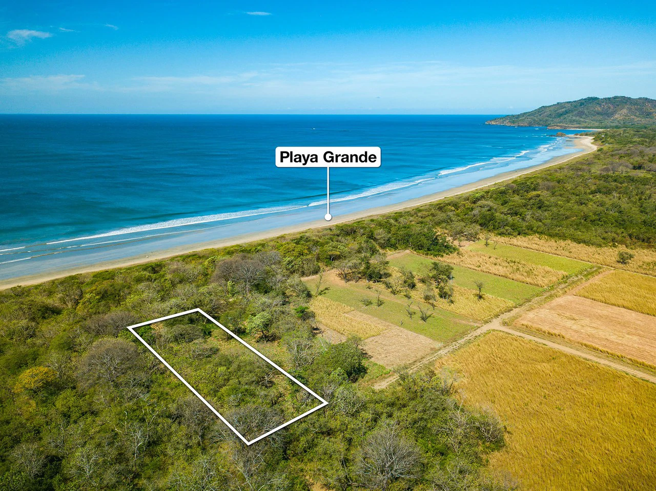 Playa Grande Lot #1: Titled Beachfront Estate Lot Playa Grande - Gallery image 2