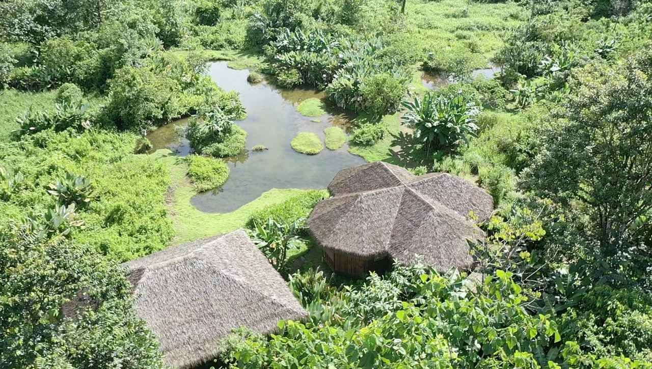 60 Acre Fully Sustainable and Impactful Conservation Initiative Near Golfito: Mountain Multi Unit Building For Sale in Golfito - Gallery image 15