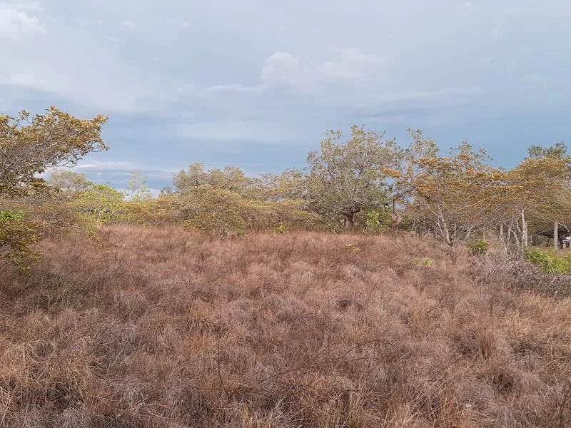 T37: Mountain Home Construction Site For Sale in Curubandé - Gallery image 6