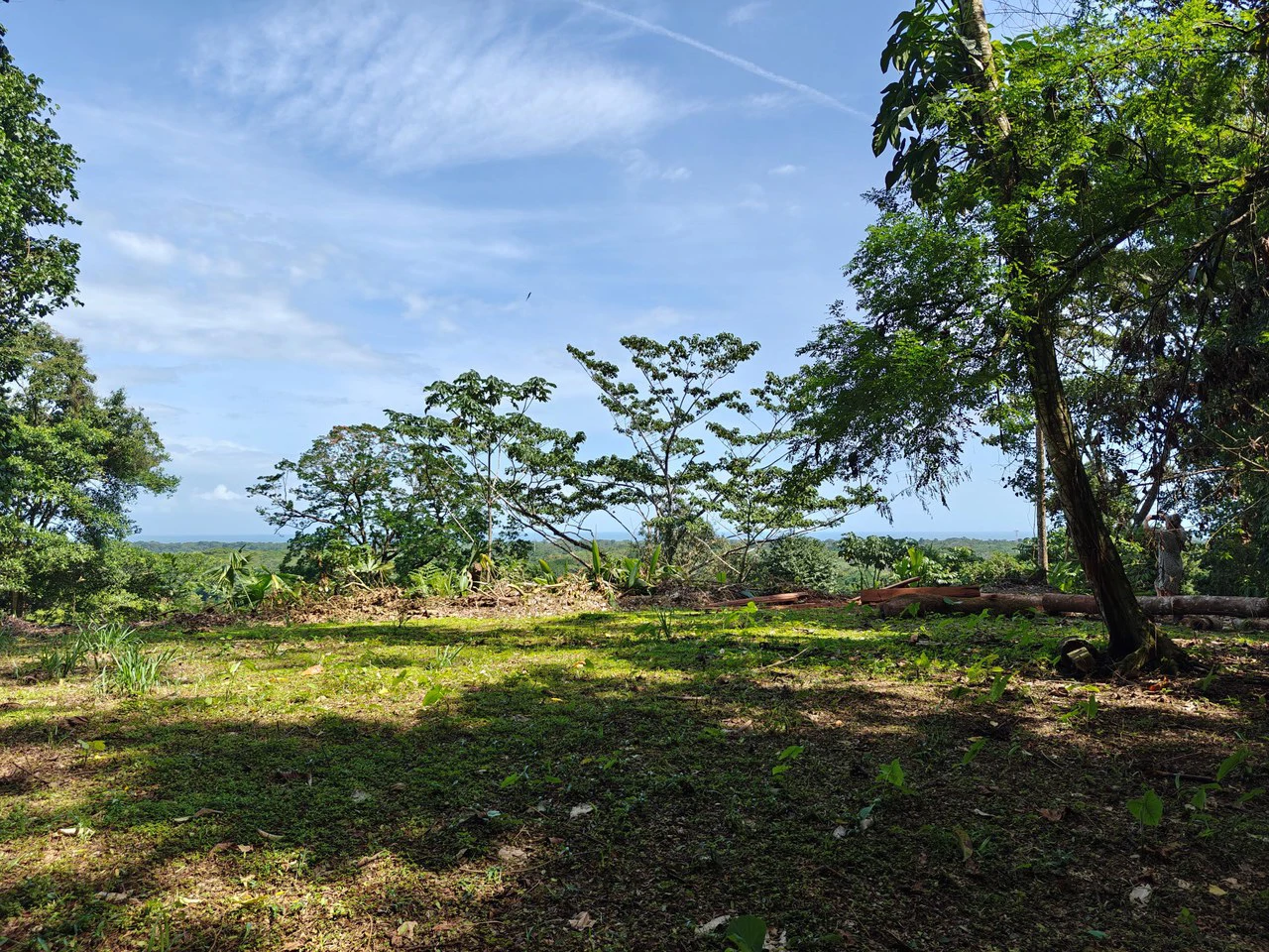 61,618m² of Land near Cahuita: With Existing Infrastructure and Ocean View - Gallery image 3