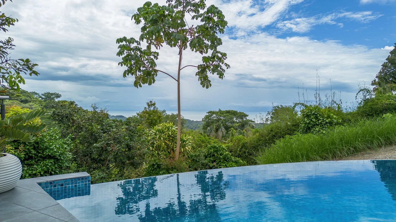 The Glass House. Sustainability, Luxury and Nature. - Gallery image 20