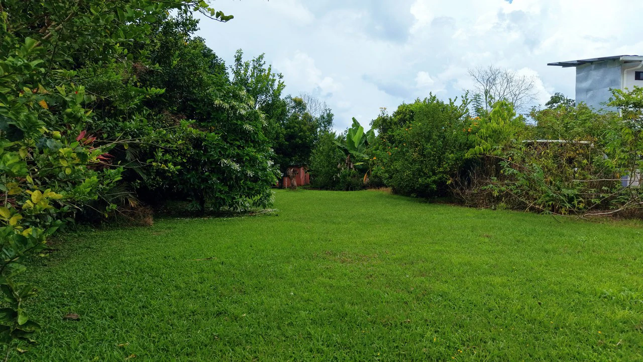 LOTE PLANO CON FRUTALES: Mountain Home Construction Site For Sale in General Viejo