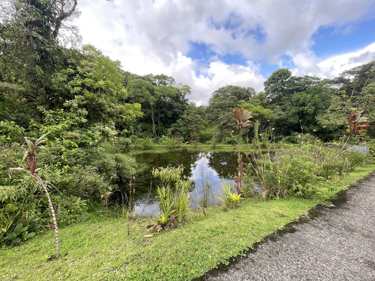 Magnificent 65-acre (26-hectare) estate, featuring a canopy tour, two homes, horses, walking trails, and 14 build-ready platforms. - Gallery image 36