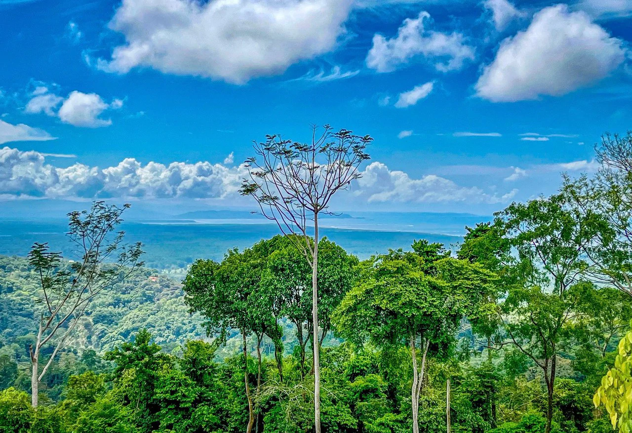 1.32 ACRES- Spectacular Ocean View In Tres Rios, Large Building Site, Legal Water And Electricity, Ready To Build & Close to Beaches!!