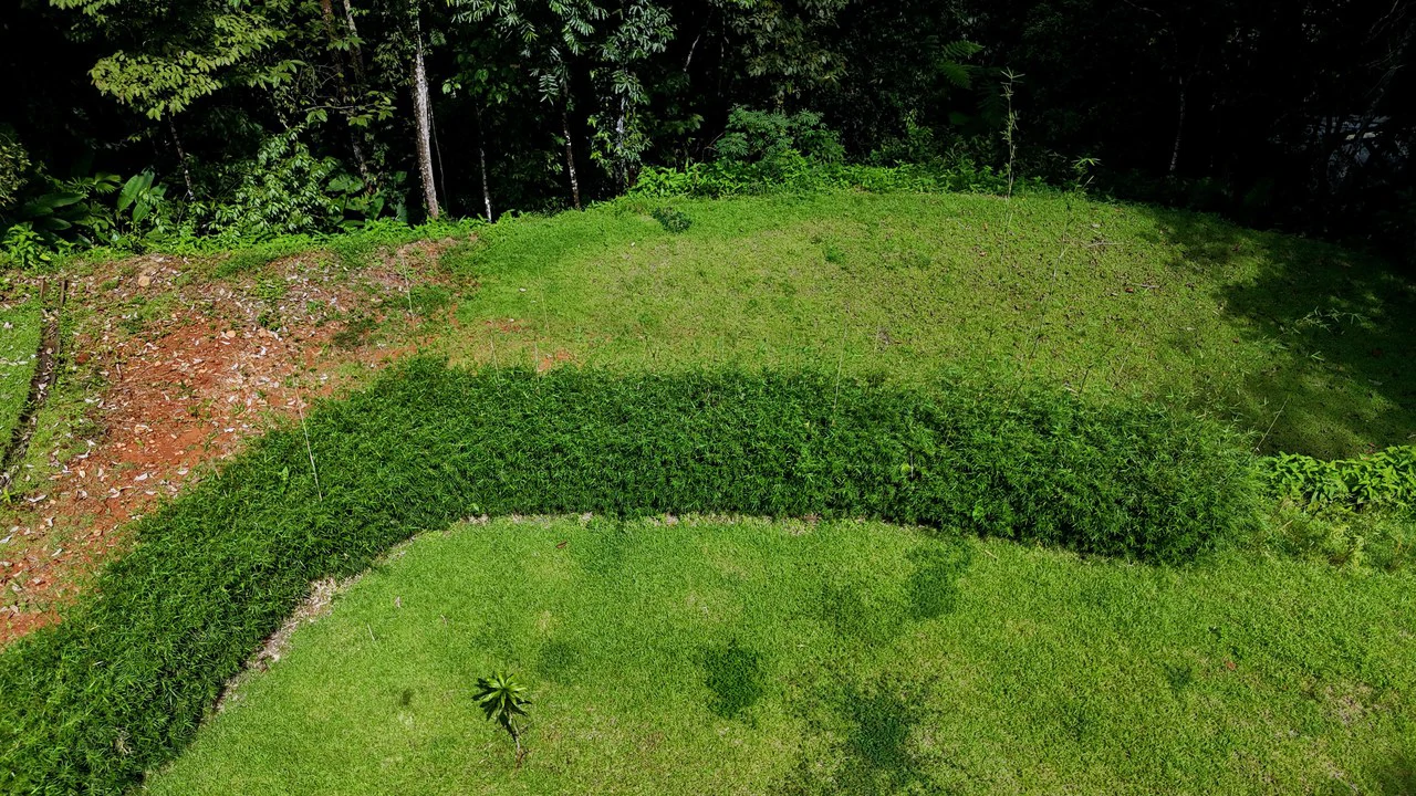 Tropical Paradise in Uvita: 939 sqm Property with Dual Building Sites, 5 Minutes from the Beach - Gallery image 10