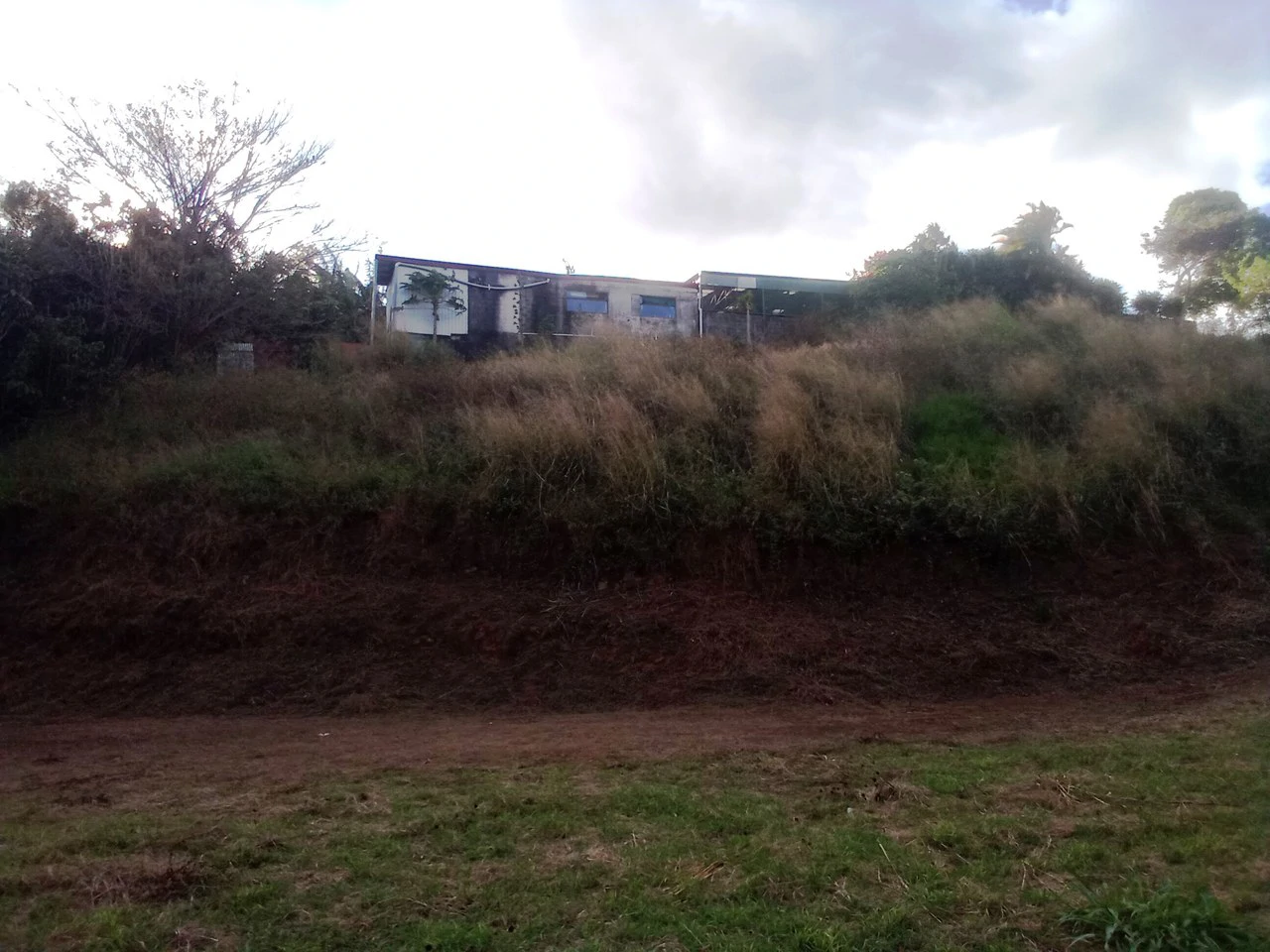 Nature Lot: REDUCED! 1,013 m2 lot off the main road - Gallery image 7