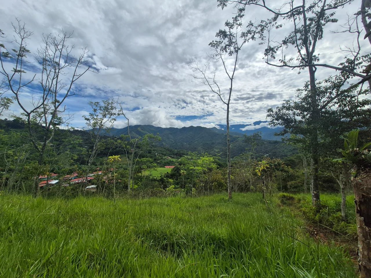 Se vende 6acres en San Antonio de Rivas, Pérez Zeledón: Countryside Home Construction Site For Sale in San Isidro del General - Gallery image 20