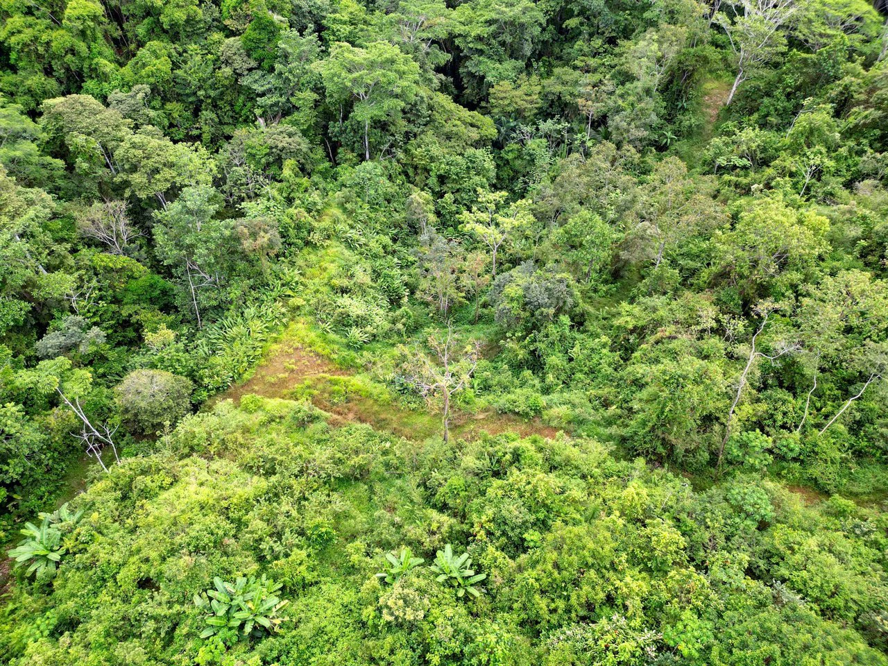 24.46 ACRES- Ocean And Mountain View Land, 4 Building Areas, Legal Water, Public Road, 20min From Beaches!!! - Gallery image 2