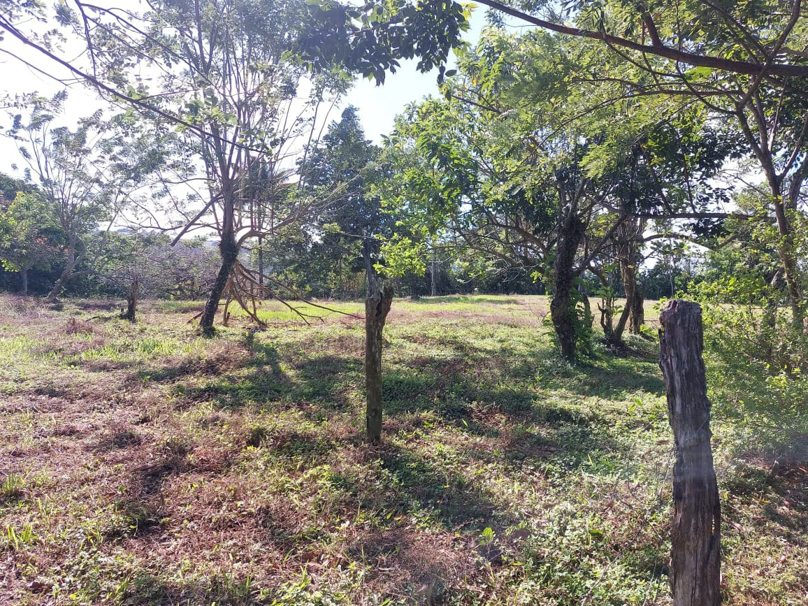 VISTA BAHIA : Newly remodelled Home on 3 acres lake view and public road front - Gallery image 3