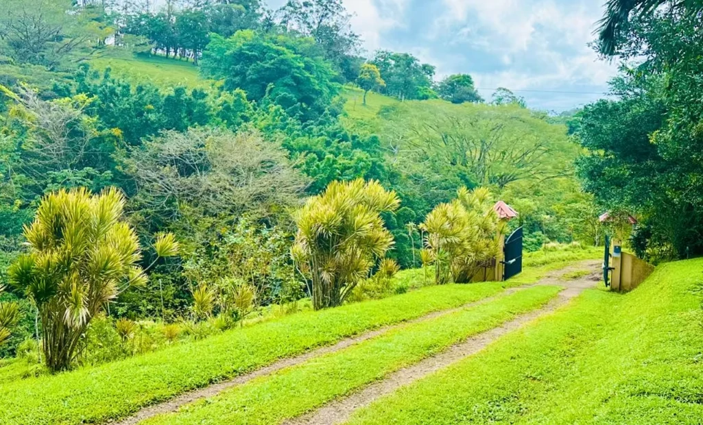 Pura Vida Costa Rica: Lake and Volcano view home, Garage and Guest Apartment - Gallery image 36