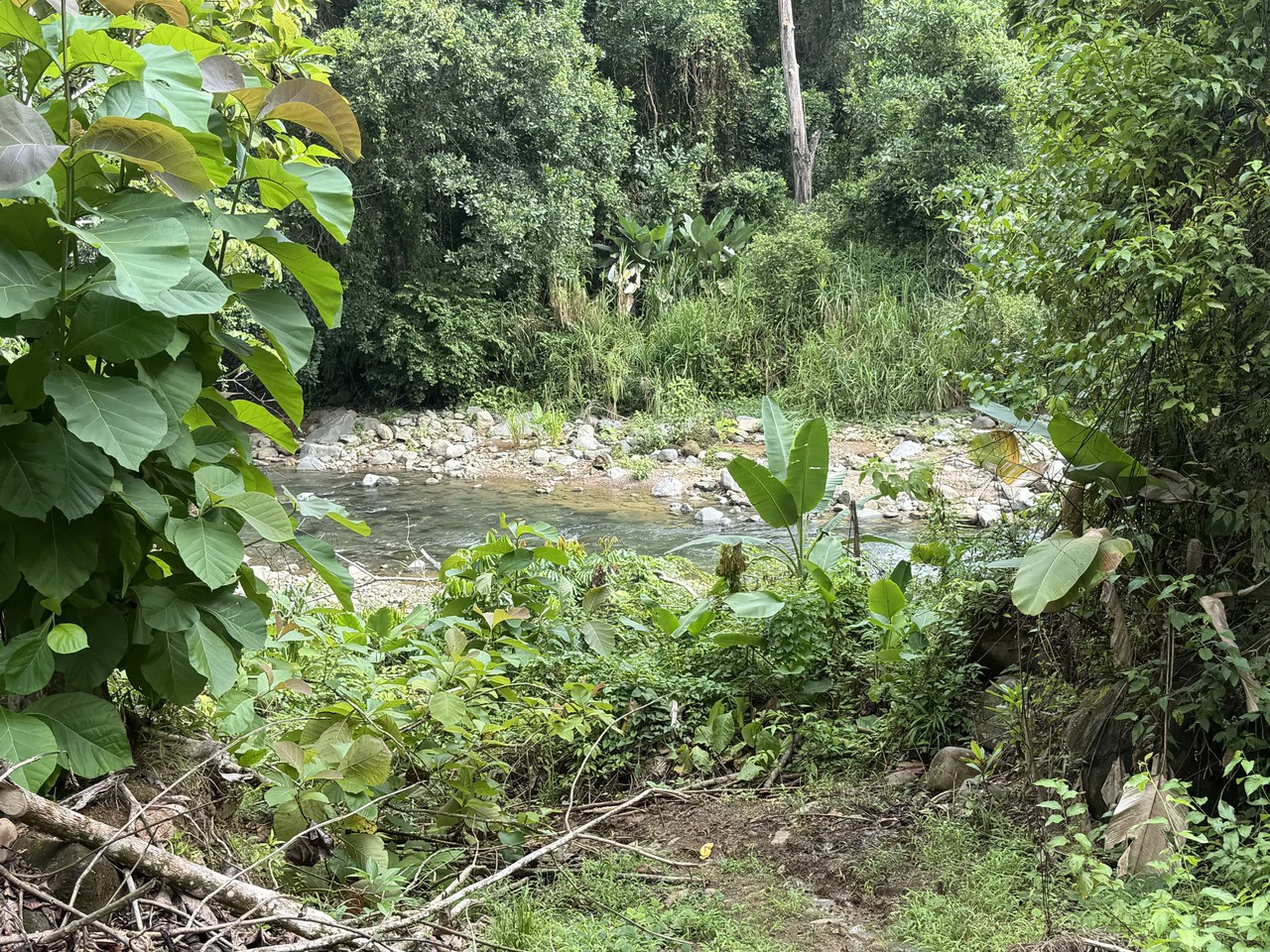Near the Coast Home Construction Site For Sale in Uvita - photo 6