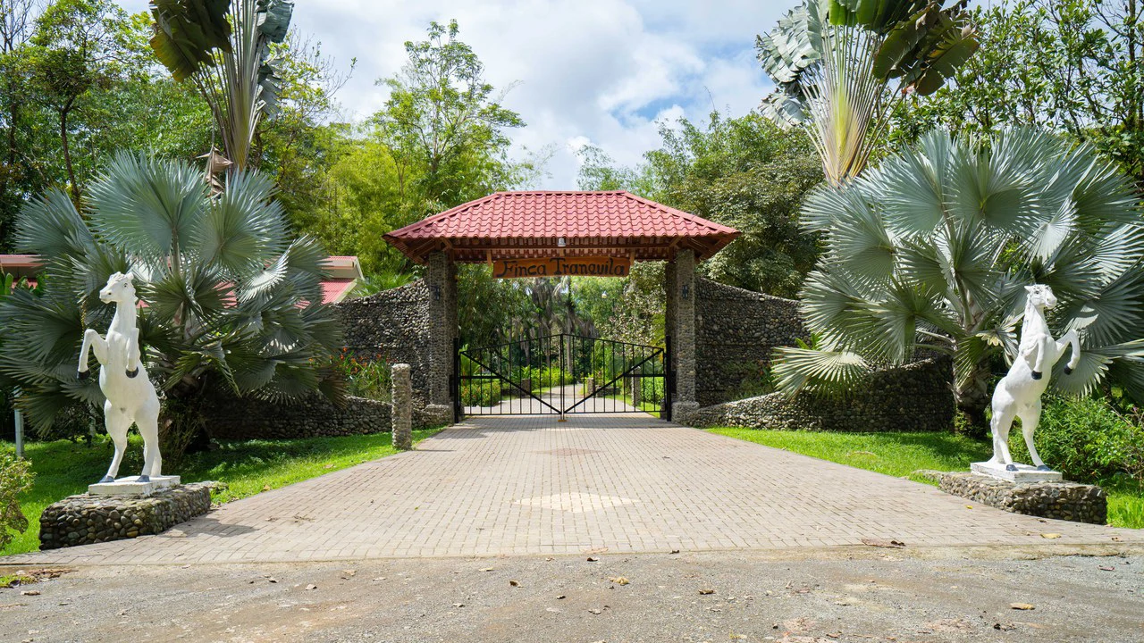 Stunning Tropical Home in Gated community with Hundreds of fruit trees: Mountain House For Sale in Naranjito - Gallery image 40