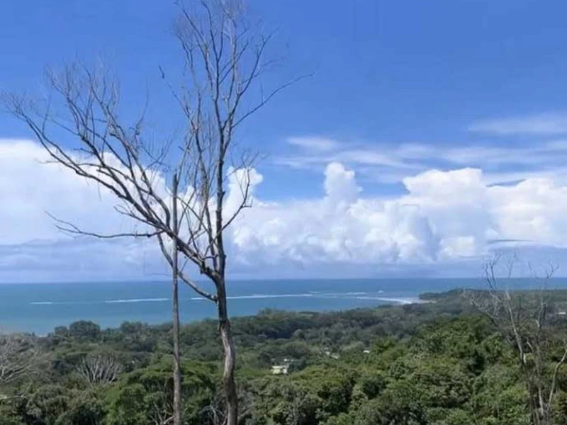 Stunning Ocean View Property in Uvita - Gallery image 4