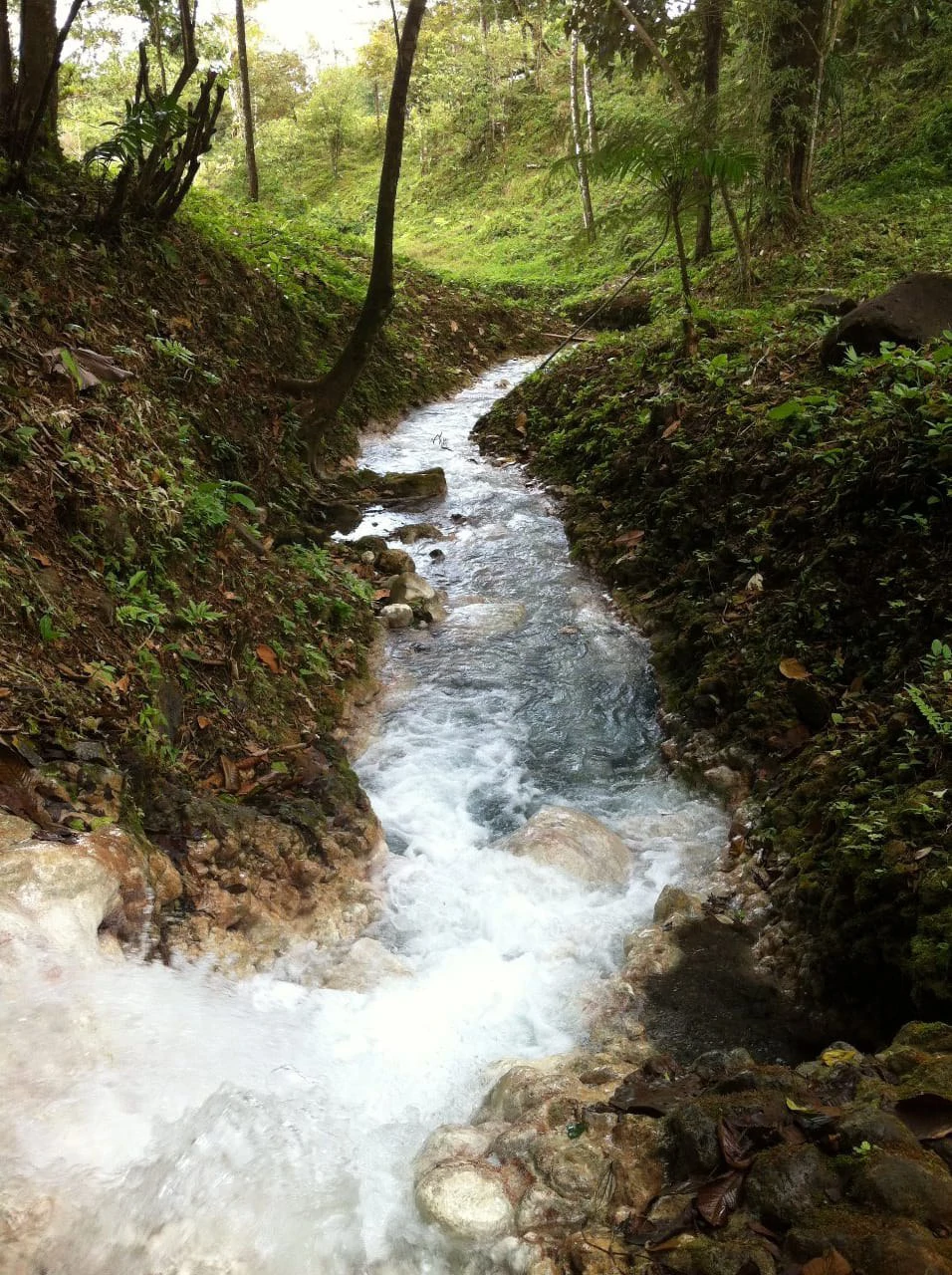 Cold & Hot springs surrounded by an overgrown farm, taken back by nature - Gallery image 81